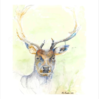 Stag at Powis Castle 2 by Welsh artist Rhian Owen