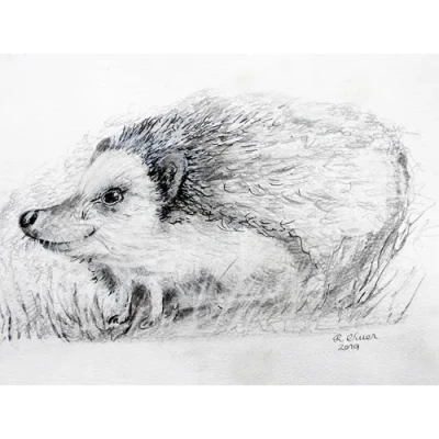 Hedgehog by Welsh artist Rhian Owen